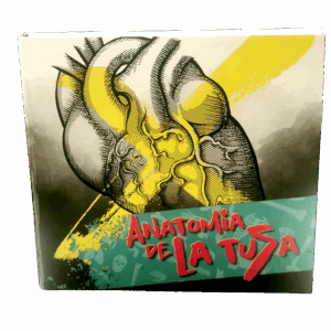 ANATOMIA DE LA TUSA