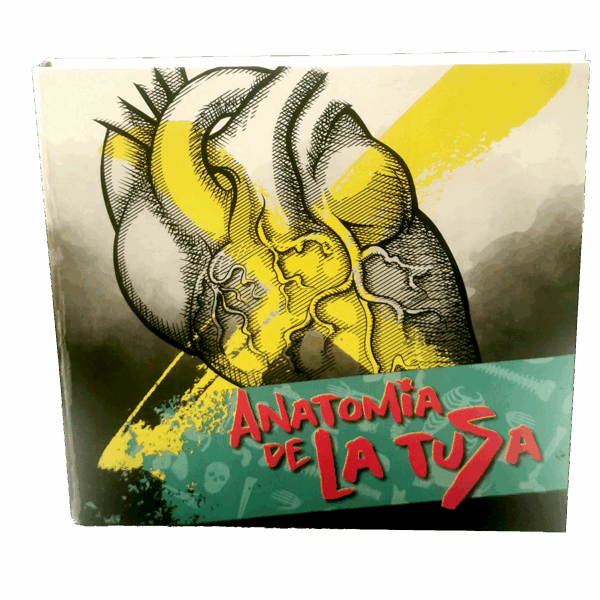 ANATOMIA DE LA TUSA